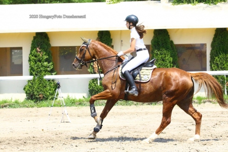 http://www.csemetelovaspark.hu/files/riders/14/tn_20210422064152_173977614_1499546147103971_4279784578829.jpg